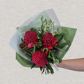 Wild Waratah Bouquet - 3 stem