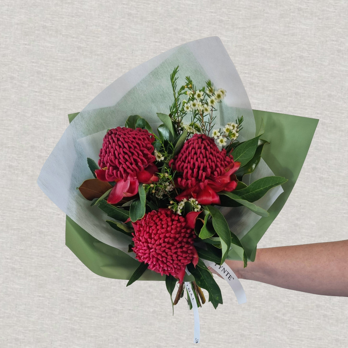 Wild Waratah Bouquet - 3 stem