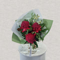 Wild Waratah Vase - 3 stem