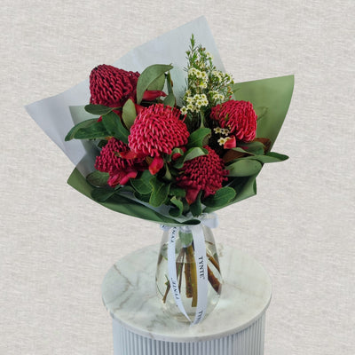 Wild Waratah Vase - 5 stem