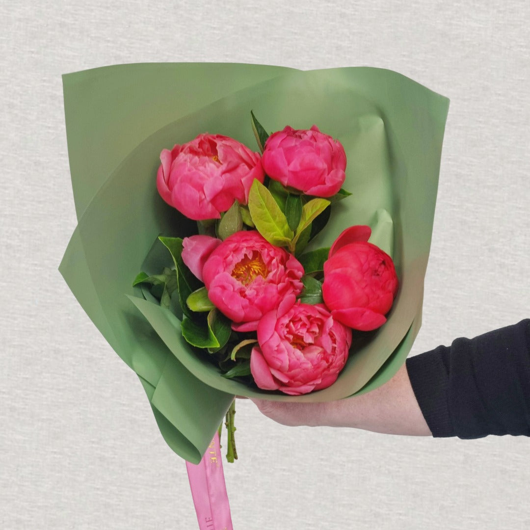 Premium Coral Charm Peonies - 5 Stem Bouquet