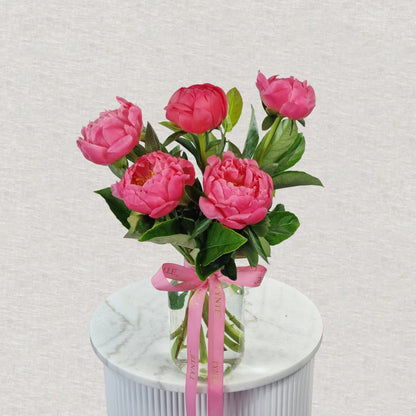 Premium Coral Charm Peonies - 5 Stem Vase