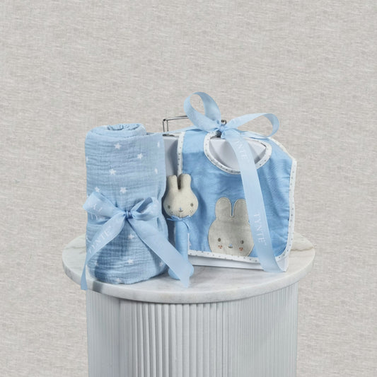 Baby Boy Gift Box