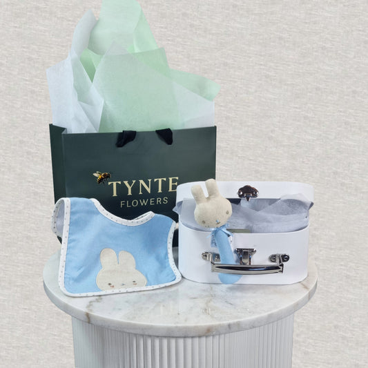 Baby Bundle & Go - Blue