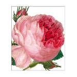 Pink Rose Card