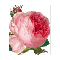 Pink Rose Card