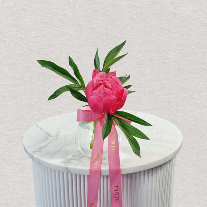 Premium Coral Charm Peonies - 1 Stem Vase